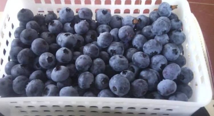 衰老|女性不想过早衰老，那就多吃3种食物，营养丰富，有益健康！