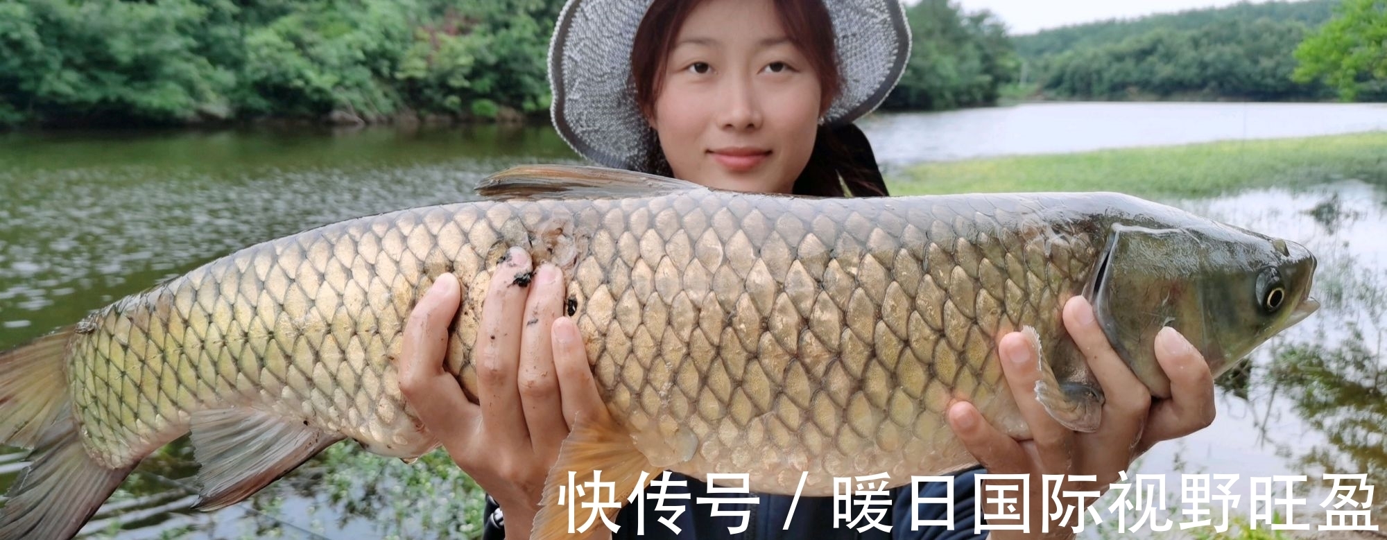 鱼层|夏季是垂钓草鱼的黄金季节,那么我们该如何去钓呢?