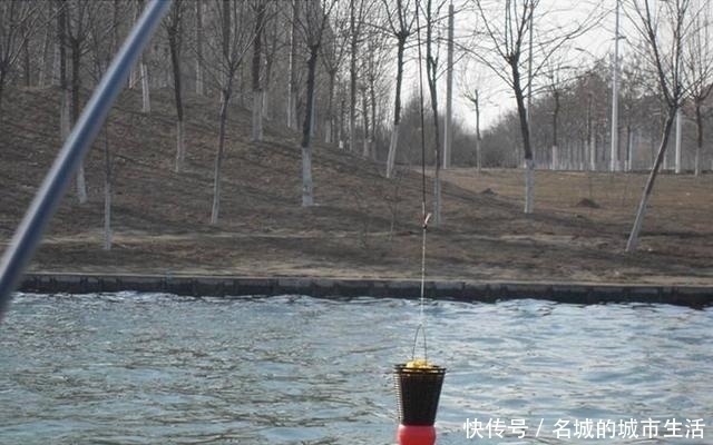 都用玉米做钓,别人百斤爆护自己却颗粒无收,这几个原因参考一下