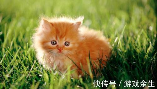 |幽默笑话:今天下班发现楼下新开了一家鸭脖店,还挺多人在排队买