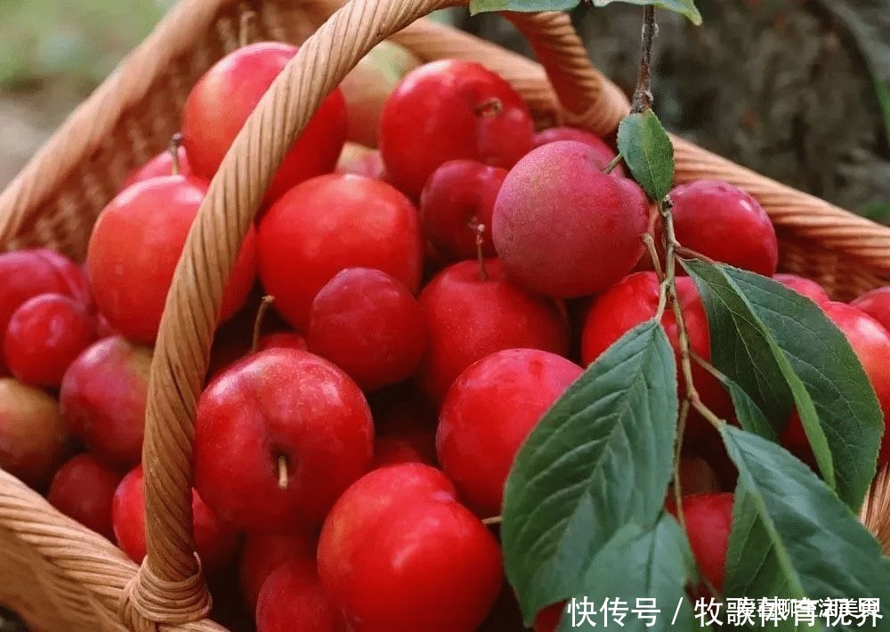 营养|清明过后,这5种水果要多吃,天然营养口感好,个个新鲜正当季