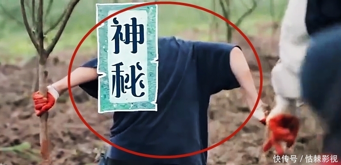 预告|《向往的生活5》下期火了,最懒2位明星又来录制,说啥也要看