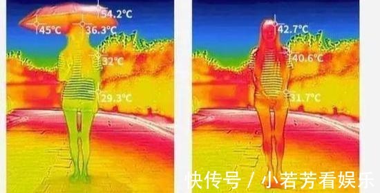 薇娅|薇娅直播的懒人伞一夜爆红,40度出门不怕晒,网友:这么简单?