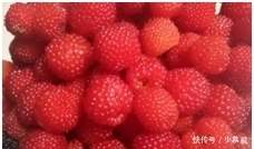 说出一种零食,证明你老了?