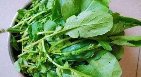 补充营养|中年人想要身体好，三种食物换着吃，补充营养，提高免疫力！