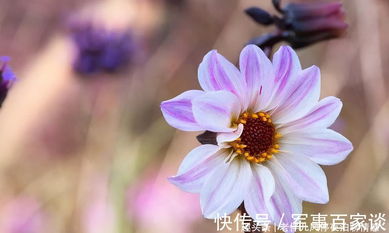 心态|熬过人生4大坎,必成大器!早懂早受益