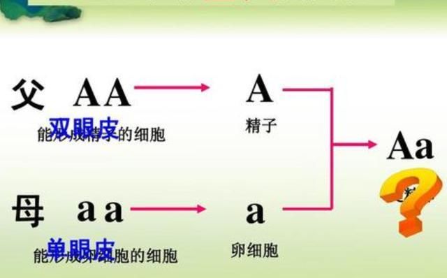 出生|孩子出生被发现“没眼睛”，小夫妻正着急，医生却笑出眼泪