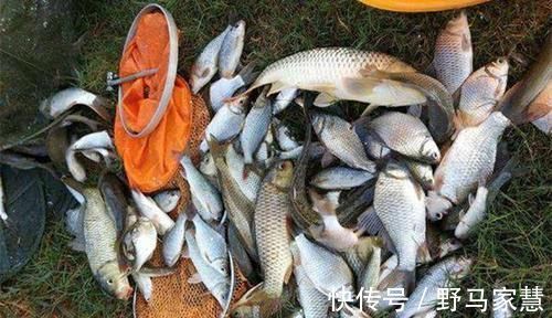 野钓|钓鱼技巧:野钓大鲫鱼,这种调漂方法最好使,不信可以试试!