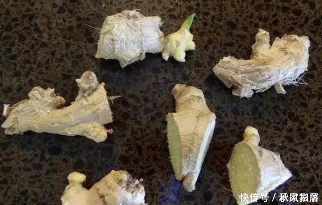 切2块“生姜”放盆里,15天后“冒小芽”,2个月成盆景,采挖一茬