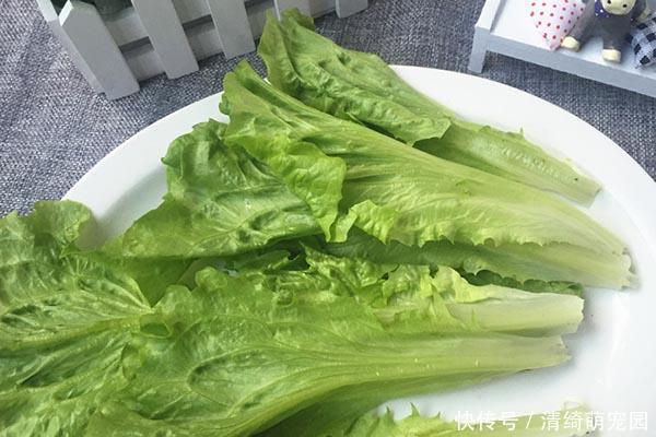 总吃肉和从不吃肉的人，哪个身体更健康？