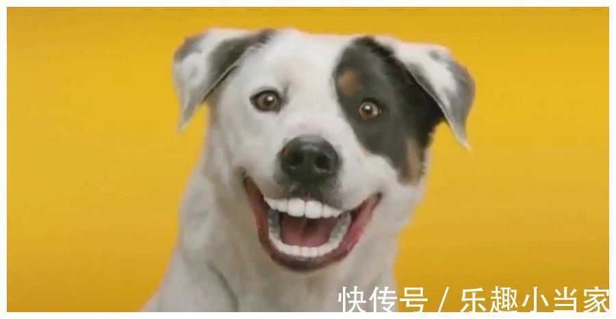 26个冷知识:虽然没有地方使用,但却经常出现的有趣知识