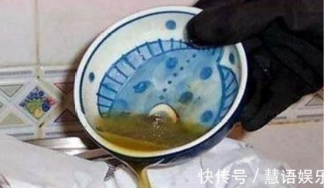 家家都有的“一种液体”,盆里“埋一点”,养啥都“爆盆”