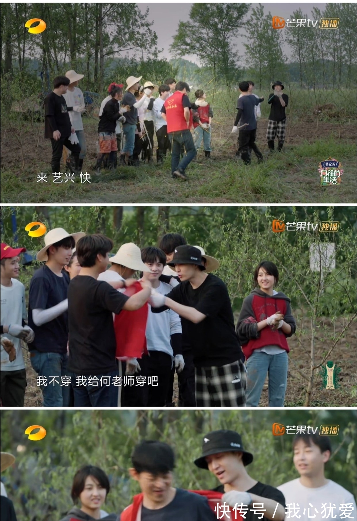 明星|10个明星做客《向往的生活》，为何只有3个明星可以留下来过夜