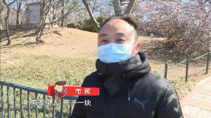 花开|迎春花开 欢度安静祥和年