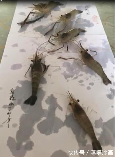 幼儿园@幼儿园作业让画“戏虾图”爷爷脑洞大开教孙子,网友还是3D哟