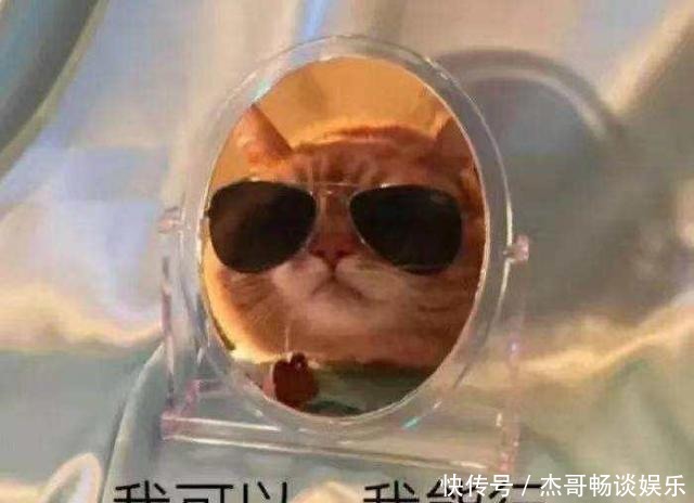 一年只写一次的防晒合集，错过别再问我