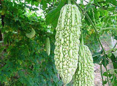 延缓衰老|女性不想老太快,推荐吃以下食物,美白淡斑,延缓衰老,好处多多