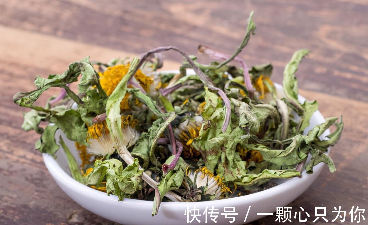 蒲公英泡水|中药新发现?蒲公英能杀死96%癌细胞?真相到底是如何?