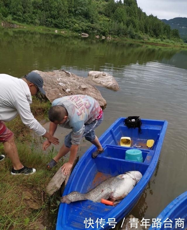 升钟湖钓获“巨怪”——66斤大口鲇出水!