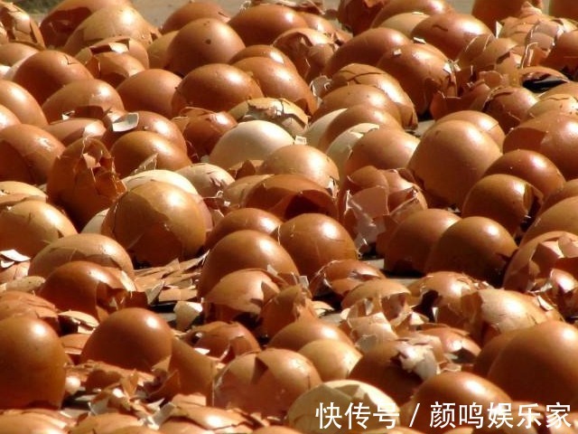 治好|被你傻乎乎丢掉的鸡蛋壳,轻松治好4种病,帮你省下一大笔买药钱