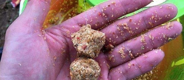 钓友|再三强调,搓饵按我说的用,上钩的鱼儿一条大过一条,特过瘾