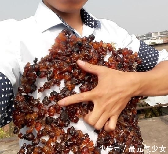 女人千万别嫌弃它丑！每天吃一点，皮肤细腻更有弹性