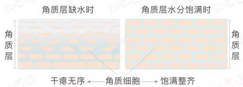敷完不用洗？可以天天用？面膜界最大真相竟然是