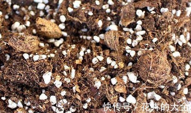 土壤|以下东西不要扔了,土里拌一些,养花效果好,改善土壤!