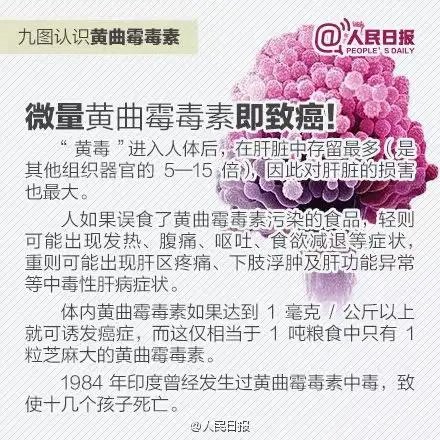 玉米|女子肺部长满真菌，竟因接触它