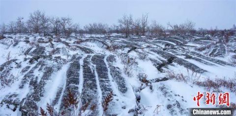  郭柏林|五大连池迎今冬首雪 如水墨仙境