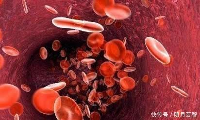 血管最“喜欢”的几种食物,多吃可清除血管垃圾,让血管变年轻