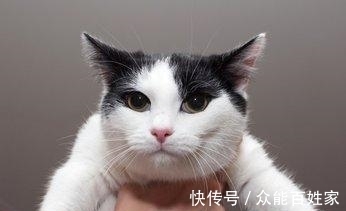 林徽因@钱钟书为何讨厌邻居林徽因?频繁找她麻烦,杨绛都拦不住