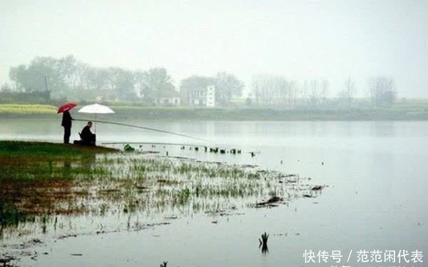 春季钓鲫鱼,钓浅水要看准时机,这些天气出钓,“爆护”已成定局
