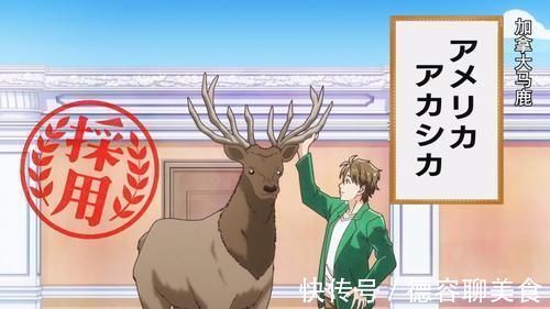 抹香鲸|这部新番冷知识好多,考拉的食物太意外,它的声波能震碎骨头