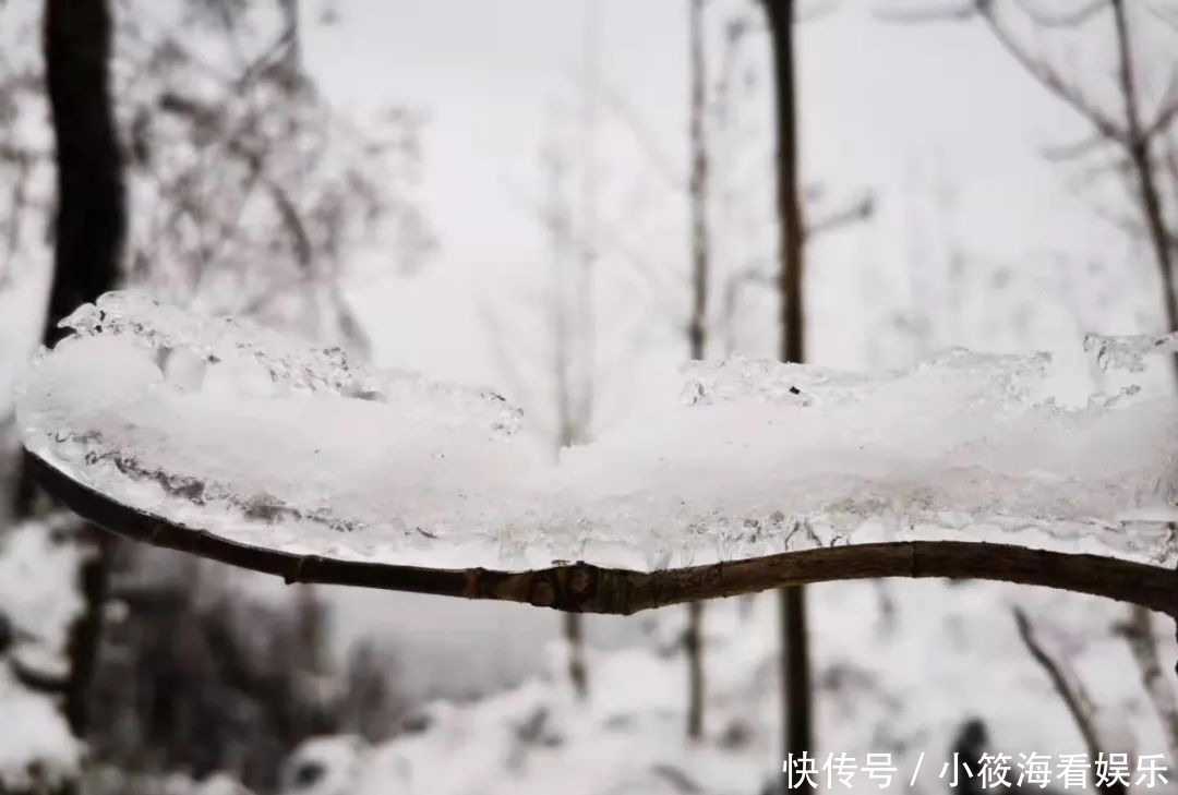 玩雪|绵阳最近的玩雪地，北川擂禹路“ 数千人”玩雪！