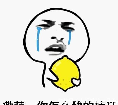 便宜|铲屎官送狗狗去幼儿园,看到发来的照片后却酸了难怪学费不便宜