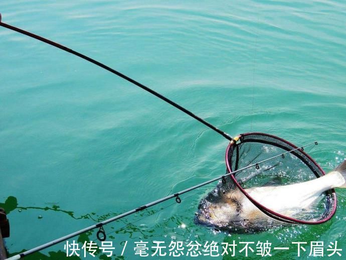 鲢鳙|盛夏野钓鲢鳙三步走，黑漂一个连一个，让你提竿到手抖
