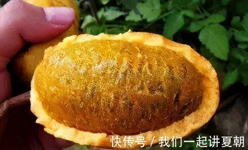 食物|每天晚上坚持吃3种食物,减少皱纹,美白皮肤,身体棒棒哒!