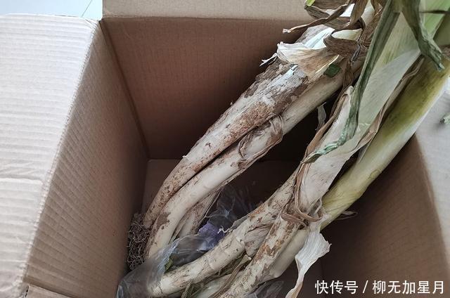 吃不完的大葱容易干瘪发黄,教你3个保存技巧,放一冬都新鲜味足