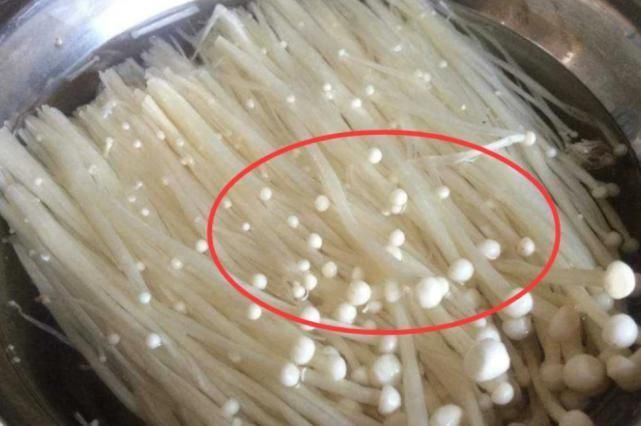 麻辣烫|吃麻辣烫时,多拿这“3种食物”,老板虽对你笑,心里却“气跳脚”