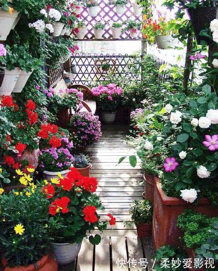 吊兰|贵州一户人家，阳台从不堆杂物，打造成小花园，邻居看了都羡慕