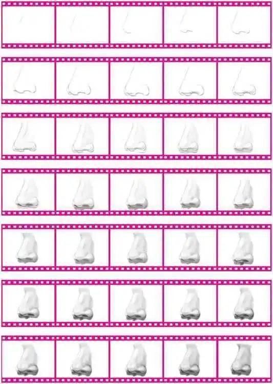 鼻孔@零基础素描教程:分步骤讲解34侧面鼻子画法,简单易学,快临摹