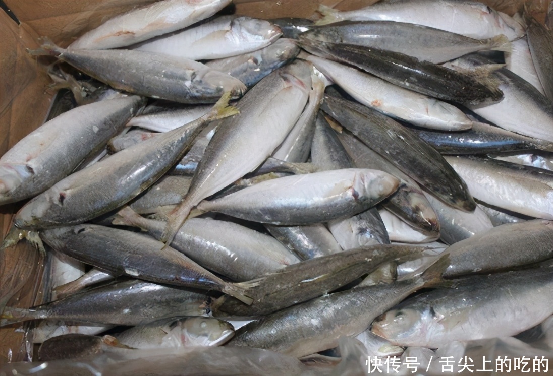 首选|鲤鱼鲫鱼比不过,这3种海鱼才是“营养首选”!老板:会吃是行家