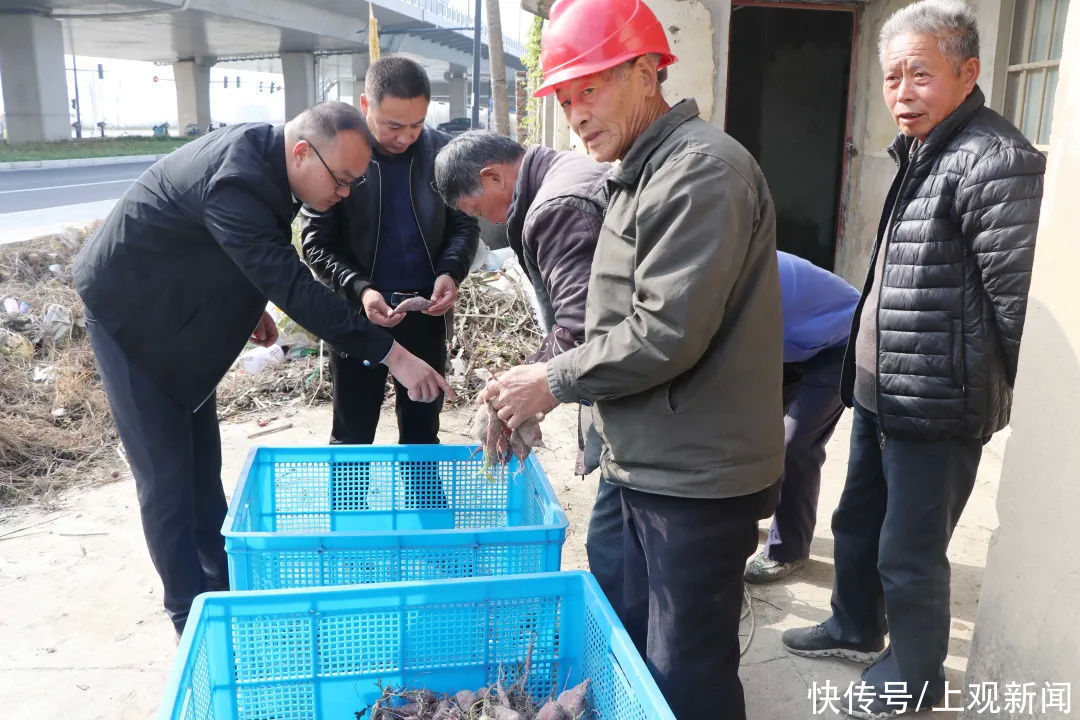  金山|金山人，这个冬天，冰淇淋与烤红薯可兼得