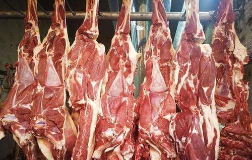 山羊|都是羊肉,绵羊肉和山羊肉有何区别老厨师口感和做法差别不小