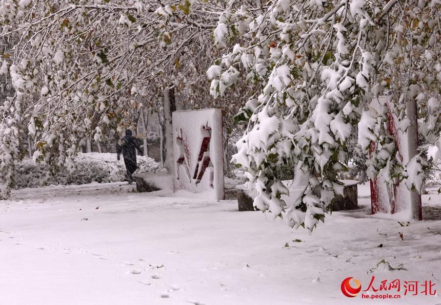 初雪|白雪皑皑银装素裹 河北各地迎来今冬“初雪”