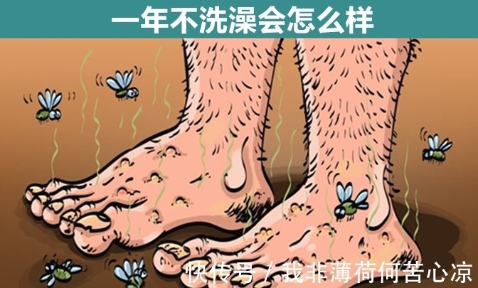 刺猬|一年不洗澡会怎么样?细数:让学霸也未必能回答上来的9个问题