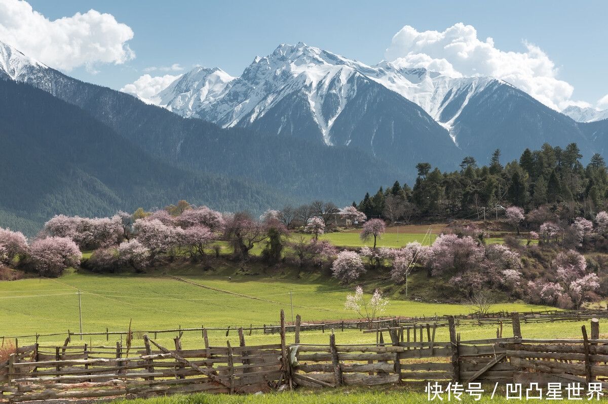 这才是这个清明假期适合自驾的10条线路，4月沿途美成天堂