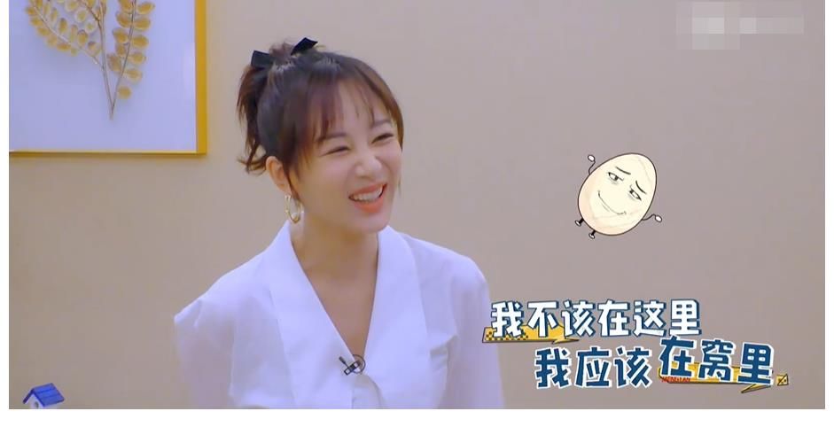 嘉宾们|《萌探探探案》首播！杨紫智商遭“嫌弃”，那英：别跟我组队