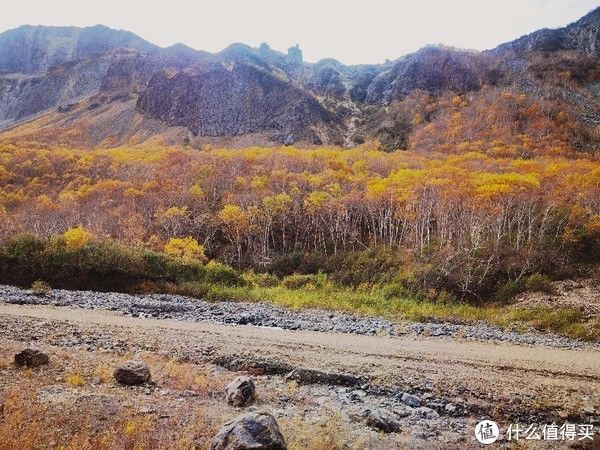 我的旅行|我的旅行 篇六：中秋的长白山，不仅有如镜般的天池，还有沉醉的秋景，五彩缤纷，如童话世界